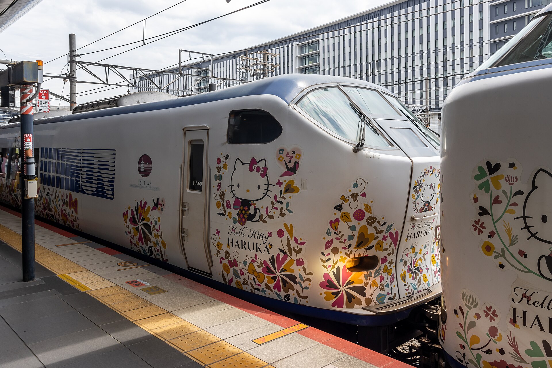 HARUKA train to Kyotoの参考写真