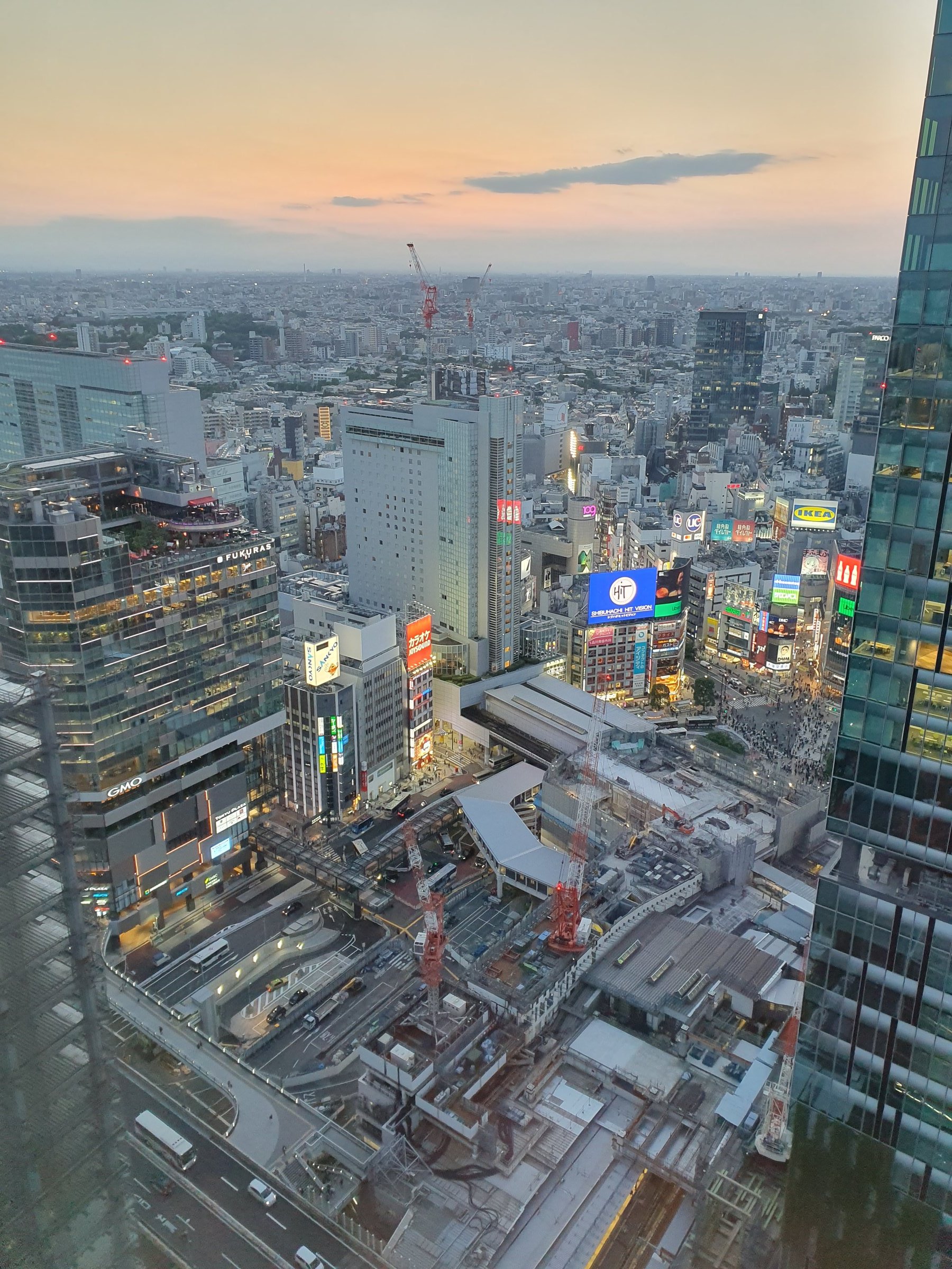 야간 시부야 스크램블 교차로