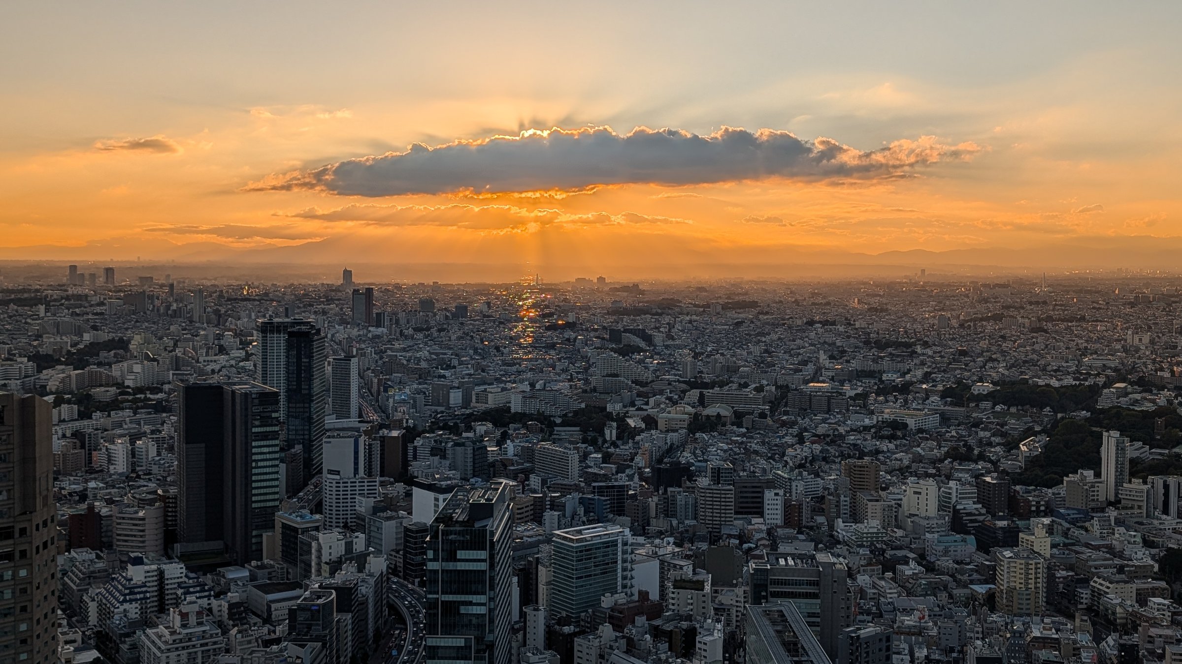 시부야 스카이에서 본 도쿄 도심 노을